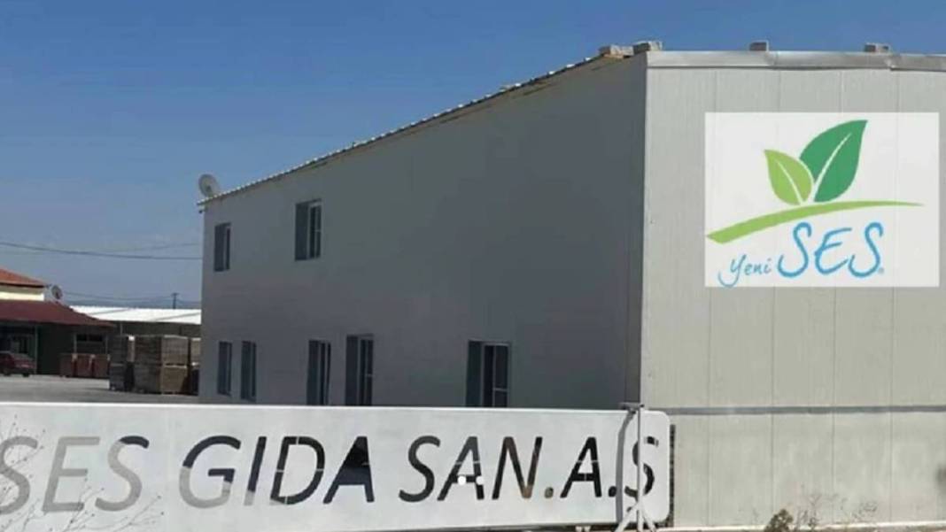 Herkes tarafından lezzetle yeniliyordu: Türkiye'de zeytin üretiminde lider firma konkordato talebinde bulundu! 4